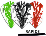 Rapide Flights Harrows