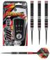 Preview: Winmau Florian Hempel Steeldart 23-25g