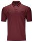 Preview: Flex Line Poloshirt Ruby vorne