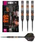 Preview: Target Raymond van Barneveld 80% Black SP Steeldart 21-23-25g