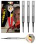 Preview: Target Dimitri van den Bergh G1 90% Softdart 19-21g