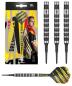 Preview: Dimitri van den Bergh 80% Softdart 18-20g Preview: Dimitri van den Bergh 80% Softdart 18-20g