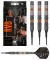 Preview: Target Raymond van Barneveld 80% Black Softdart 18g