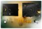 Preview: Target Elysian 10 Generation 20g Softdart Limited Edition Preview: Target Elysian 10 Generation 20g Softdart Limited Edition