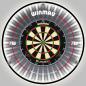 Preview: Winmau Plasma Dartboard Licht Professional Preview: Winmau Plasma Dartboard Licht Professional