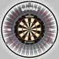 Preview: Plasma Dartboard Licht Professional-4300