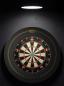 Preview: Bulls Advantage 8 Professional Dartboard