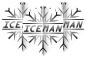 Preview: RedDragon Gerwyn Price - Iceman Dart Flights Grau Snowflake