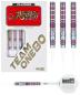 Preview: One80 Ryo Nakai Chameleon Softdart 21g Preview: One80 Ryo Nakai Chameleon Softdart 21g