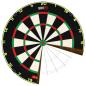 Preview: One80 Gladiator 4 Plus Surge Dartboard