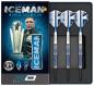 Preview: Gerwyn Iceman Price Contour Steeldart 21-23-25g