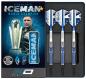 Preview: RedDragon Gerwyn Iceman Price Contour Softdart 20g