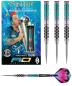 Preview: RedDragon Peter Wright Supa Venom Steeldart 21-22-23-24g