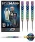 Preview: RedDragon Gerwyn Iceman Price Ionic Steeldart 23 g