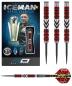 Preview: RedDragon Gerwyn Price Firebird Steeldart 23-25g Preview: RedDragon Gerwyn Price Firebird Steeldart 23-25g