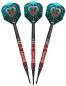 Preview: Shot Future Knights Dreadheart 90% Softdart 20 g Preview: Shot Future Knights Dreadheart 90% Softdart 20 g