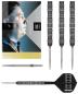 Preview: Target Chris Dobey 95K Steeldart 22-23-24g