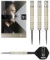 Preview: Target Dimitri van den Bergh 95K Steeldart 24 g