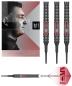 Preview: Target Nathan Aspinall 95K Softdart 18g