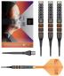 Preview: Target Raymond v. Barnveld RVB 95K Softdart 20g