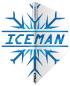 Preview: RedDragon Gerwyn Price - Iceman Dart Flights
