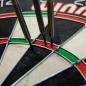 Preview: Winmau Pro SFB Dartboard Preview: Winmau Pro SFB Dartboard