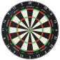 Preview: Winmau Blade 360 PDC Dart Board