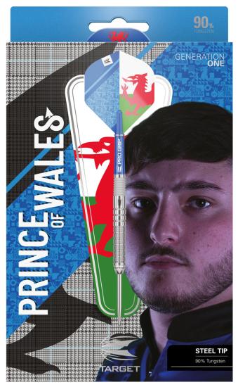 Target Lewy Williams 90% 2022 Steeldart 23-25g
