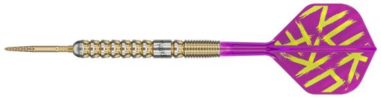 Target Luke Littler G1 Prodigy Steeldart 22-23-24g