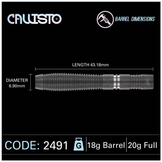 Winmau Callisto 2491 Softdart 20g