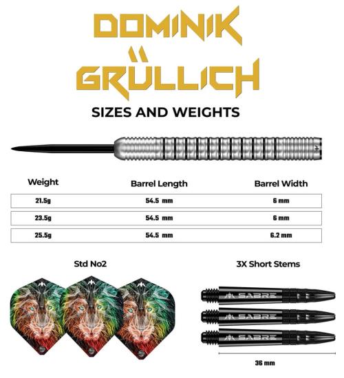 Mission Dominik Grüllich 95% Steeldart