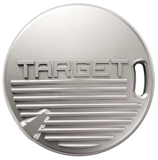 Target Dimitri van den Bergh 95K Steeldart 24 g