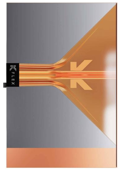 Target Raymond v. Barnveld RVB 95K Softdart 20g