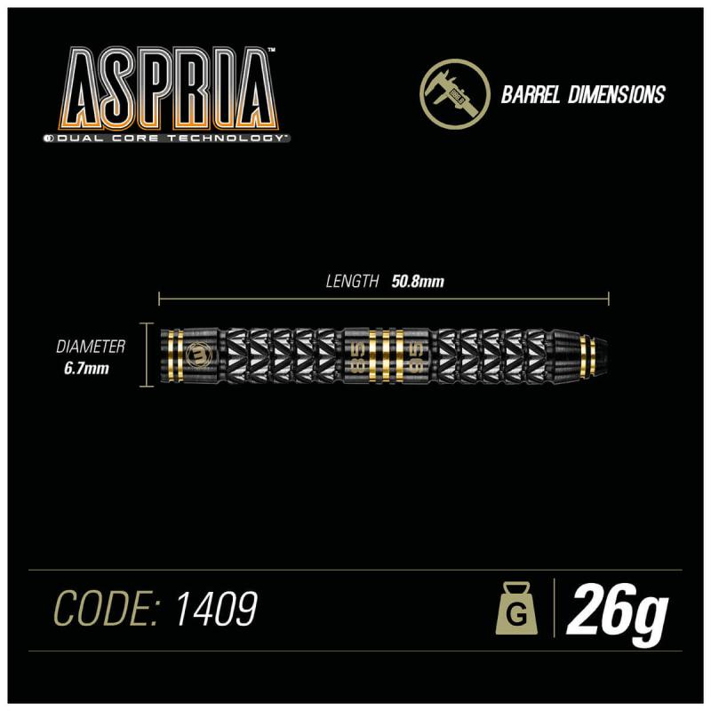 Aspria Dual Core Steeldart 22-24g Aspria Dual Core Steeldart 22-24g