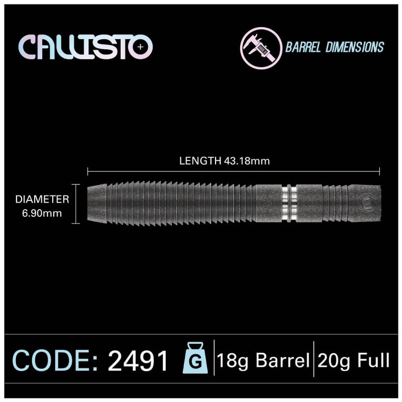 Winmau Callisto 2491 Softdart 20g Winmau Callisto 2491 Softdart 20g