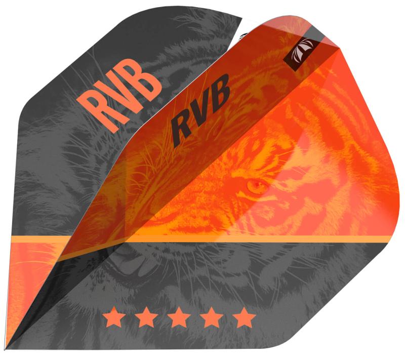Target Pro Ultra Raymond Van Barneveld GEN4 Flights No6