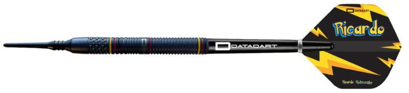 Datadart Ricardo Pietreczko - 90% Tungsten Softdart 21 g Datadart Ricardo Pietreczko - 90% Tungsten Softdart 21 g