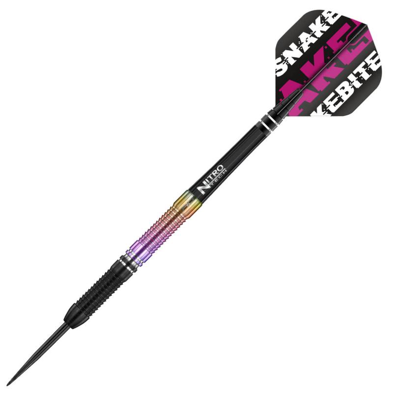 Peter Wright Snakebite WC 2020 Steeldart