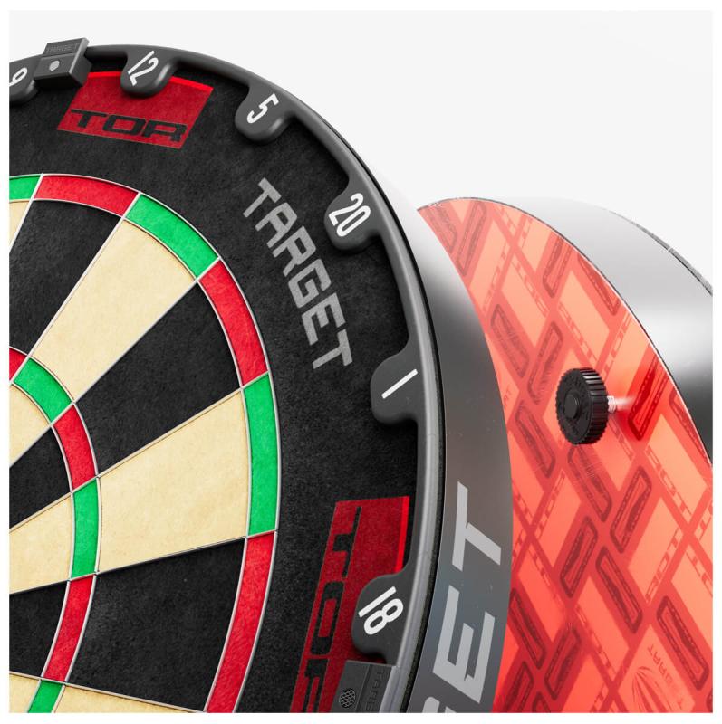 Target Tor Professional Dart Board Target Tor Professional Dart Board