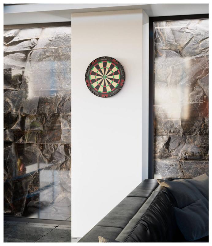 Target Tor Professional Dart Board Target Tor Professional Dart Board