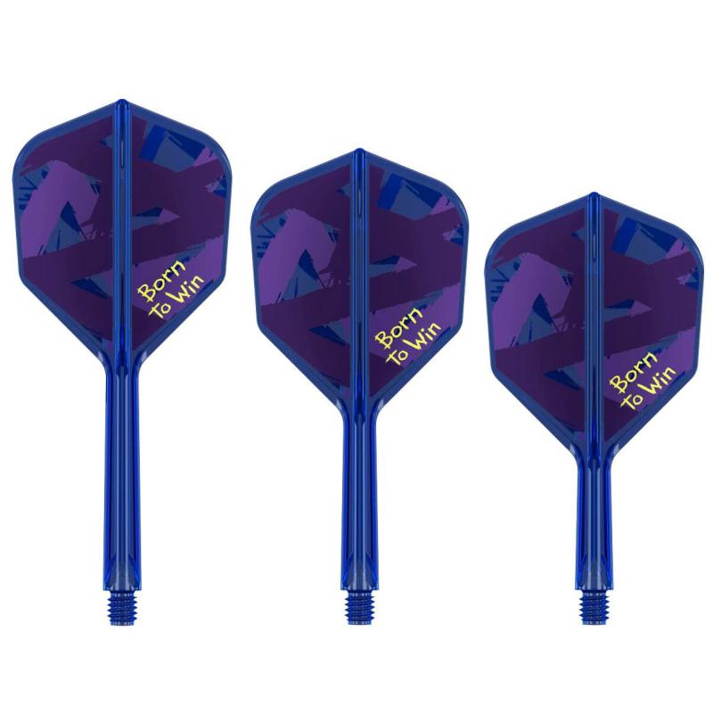 Target K-Flex No6 Luke Littler Born to Win Flight/Shaft Kombination