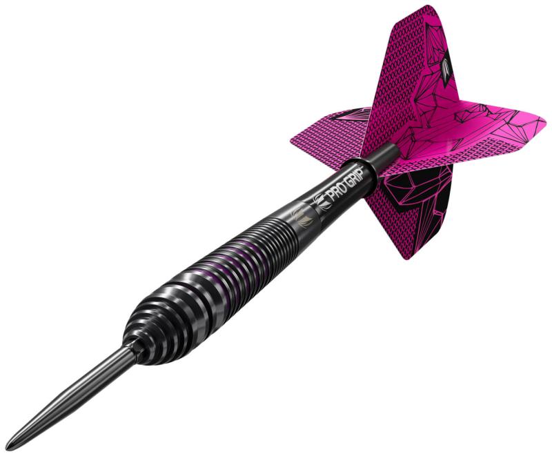 Target Lorraine Winstanley 90% Steeldart 24g