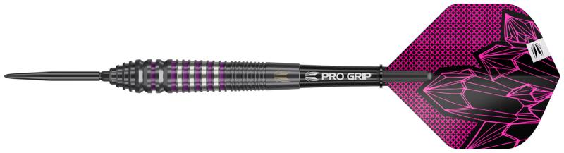Target Lorraine Winstanley 90% Steeldart 24g