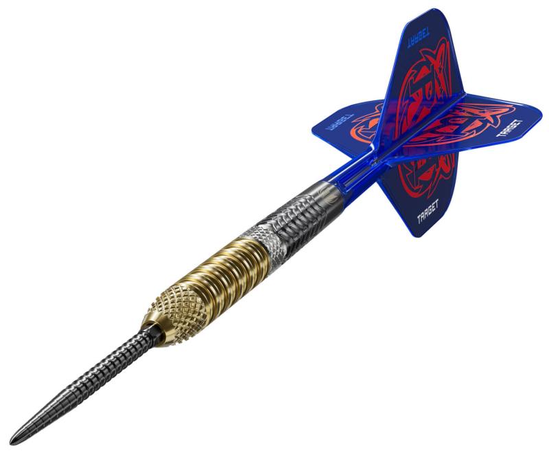 Target Raymond v. Barnveld Gen 6 95% Steeldart 21-23-25g Target Raymond v. Barnveld Gen 6 95% Steeldart 21-23-25g