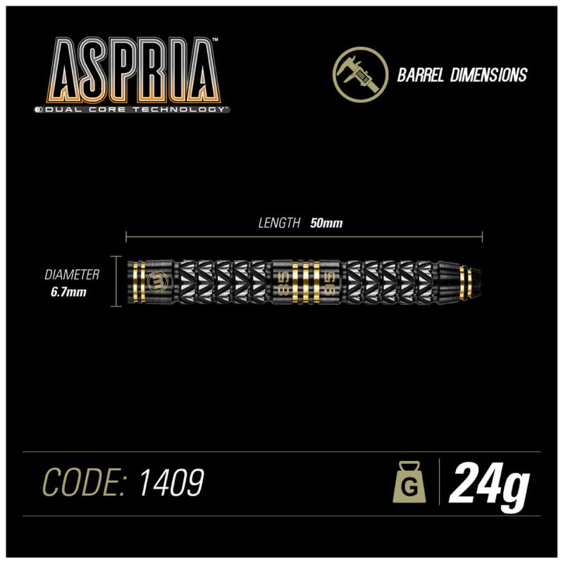 Winmau Aspria Dual Core Steeldart 22-24-26g Test