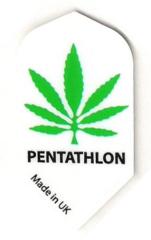 Pentathlon Flight Slim Hanf weiß